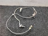 Sensor / Fühler / Geber