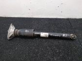 Rear shock absorber/damper