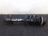 Amortiguador delantero con muelle espiral
