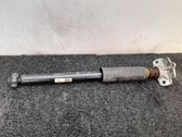 Rear shock absorber/damper