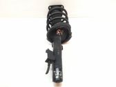 Front shock absorber with coil spring
