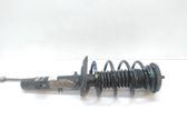 Amortiguador delantero con muelle espiral