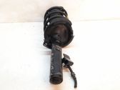 Front shock absorber with coil spring