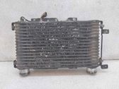 Radiador intercooler