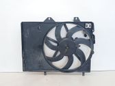 Electric radiator cooling fan