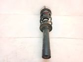 Front shock absorber with coil spring