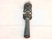 Front shock absorber with coil spring