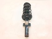 Front shock absorber with coil spring