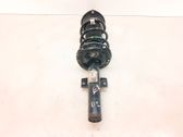 Front shock absorber with coil spring