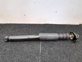 Rear shock absorber/damper