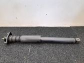 Rear shock absorber/damper