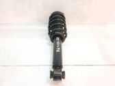 Front shock absorber with coil spring