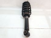 Front shock absorber with coil spring