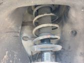 Amortiguador delantero con muelle espiral