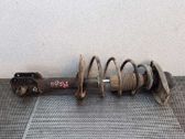 Front shock absorber with coil spring