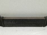 Radiador intercooler