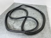 Trunk rubber seal (body)