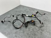 Front door wiring loom