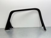 Rear door glass trim molding