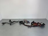 Other wiring loom