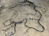 Other wiring loom