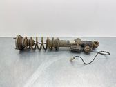 Rear shock absorber/damper