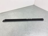 Front door glass trim molding