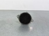 Front door speaker