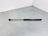 Amortiguador/puntal del capó/tapa delantero