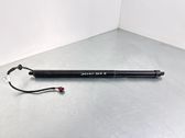 Tailgate/trunk strut/damper