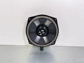 Rear door speaker