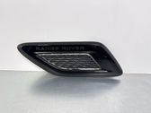 Ziergitter Motorhaube