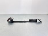 Ceinture de sécurité arrière