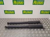 Rear shock absorber/damper