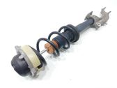 Amortiguador delantero con muelle espiral