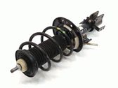 Amortiguador delantero con muelle espiral