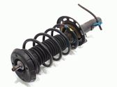 Front shock absorber with coil spring