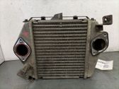Intercooler radiator
