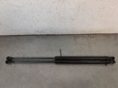 Gasdruckfeder Dämpfer Motorhaube