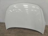 Engine bonnet/hood
