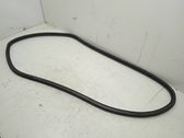 Rear door rubber seal (on body)