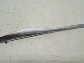 Rear door trim (molding)