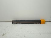 Stoßdämpfer hinten