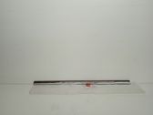 Rear door glass trim molding