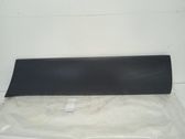 Front door trim (molding)