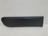 Front door trim (molding)