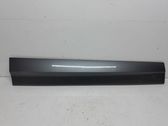 Front door trim (molding)