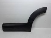 Rear door trim (molding)