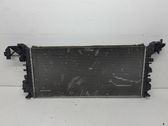 Intercooler radiator