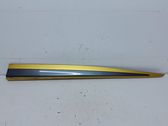Front door trim (molding)